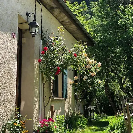 Les Iris De La Muzelle Vénosc