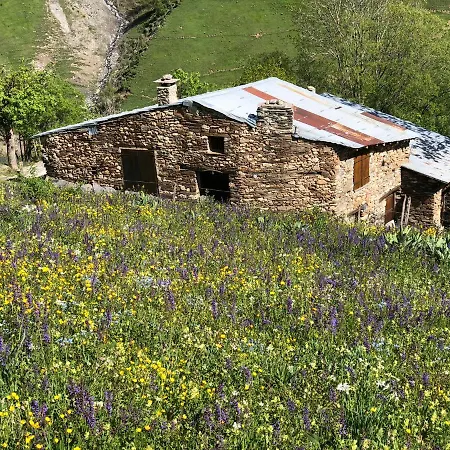 木屋 Les Iris De La Muzelle *